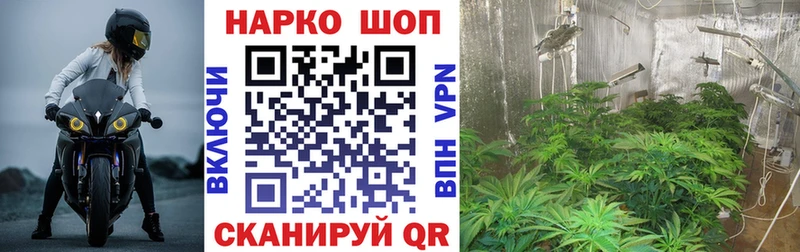 Меф мяу мяу Полярные Зори