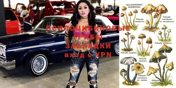 Альфа ПВП Россошь