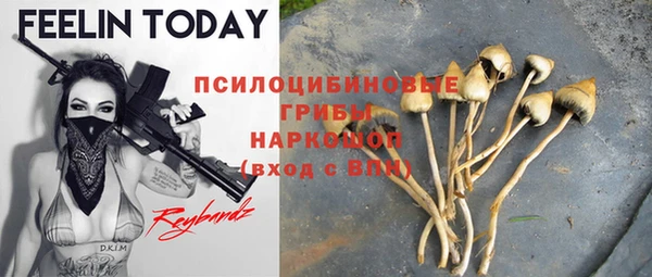 Альфа ПВП Россошь